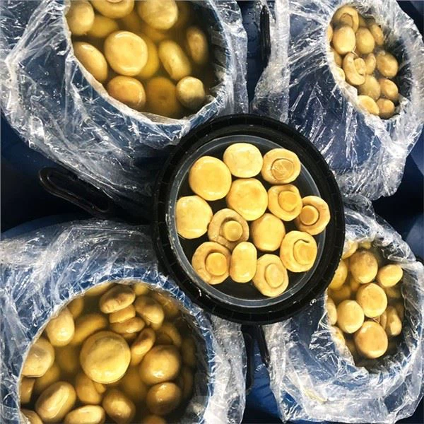 Wie bewahre ich geöffnete Champignons in Salzlake am besten auf?