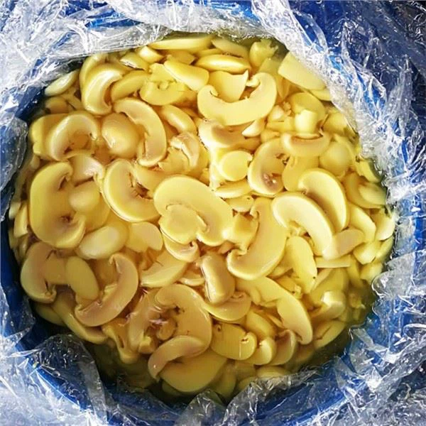 Pilz in SO2 in Trommel